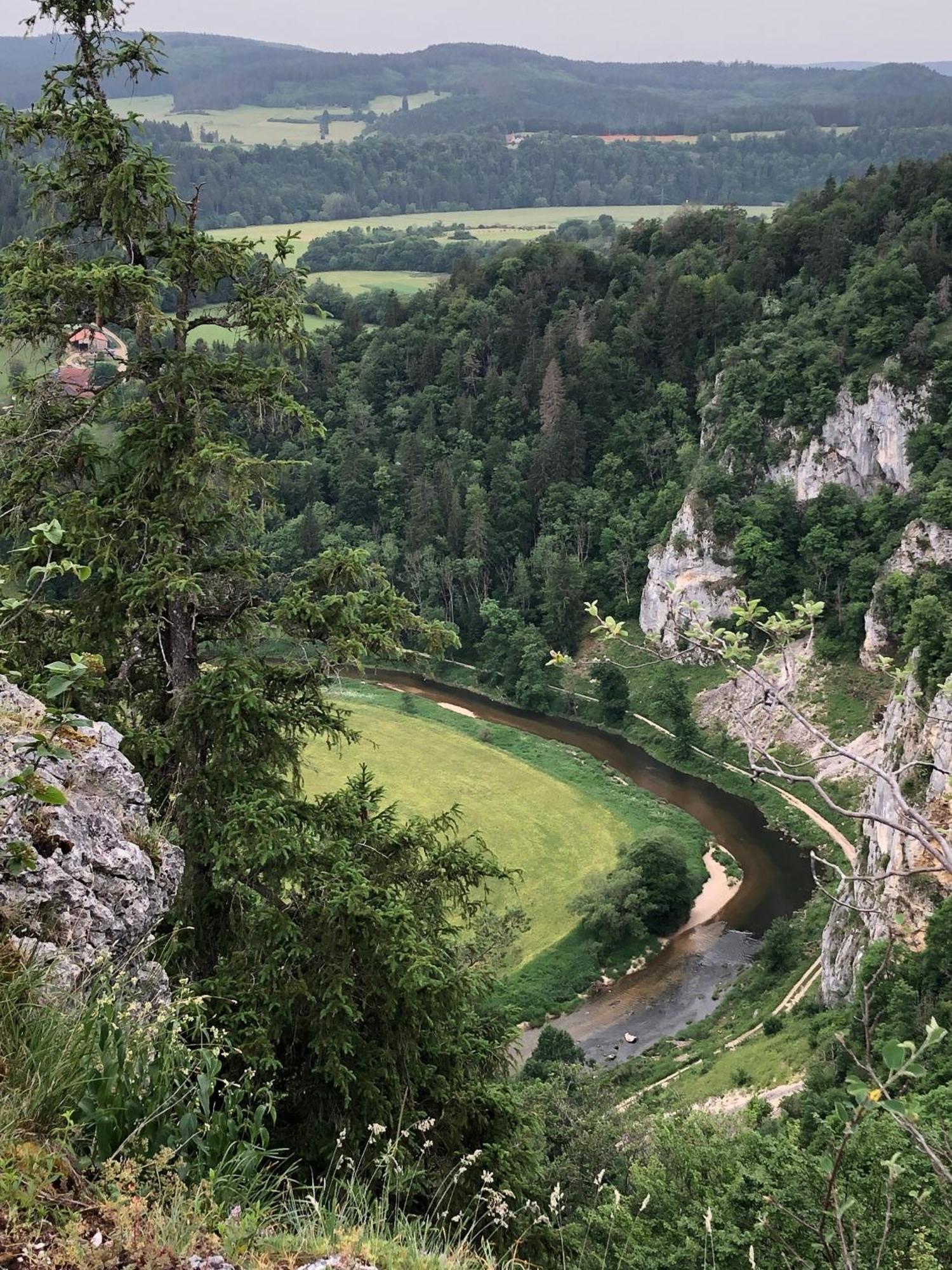 Ferienwohnung Jardin De Lavande Fridingen an der Donau Bagian luar foto