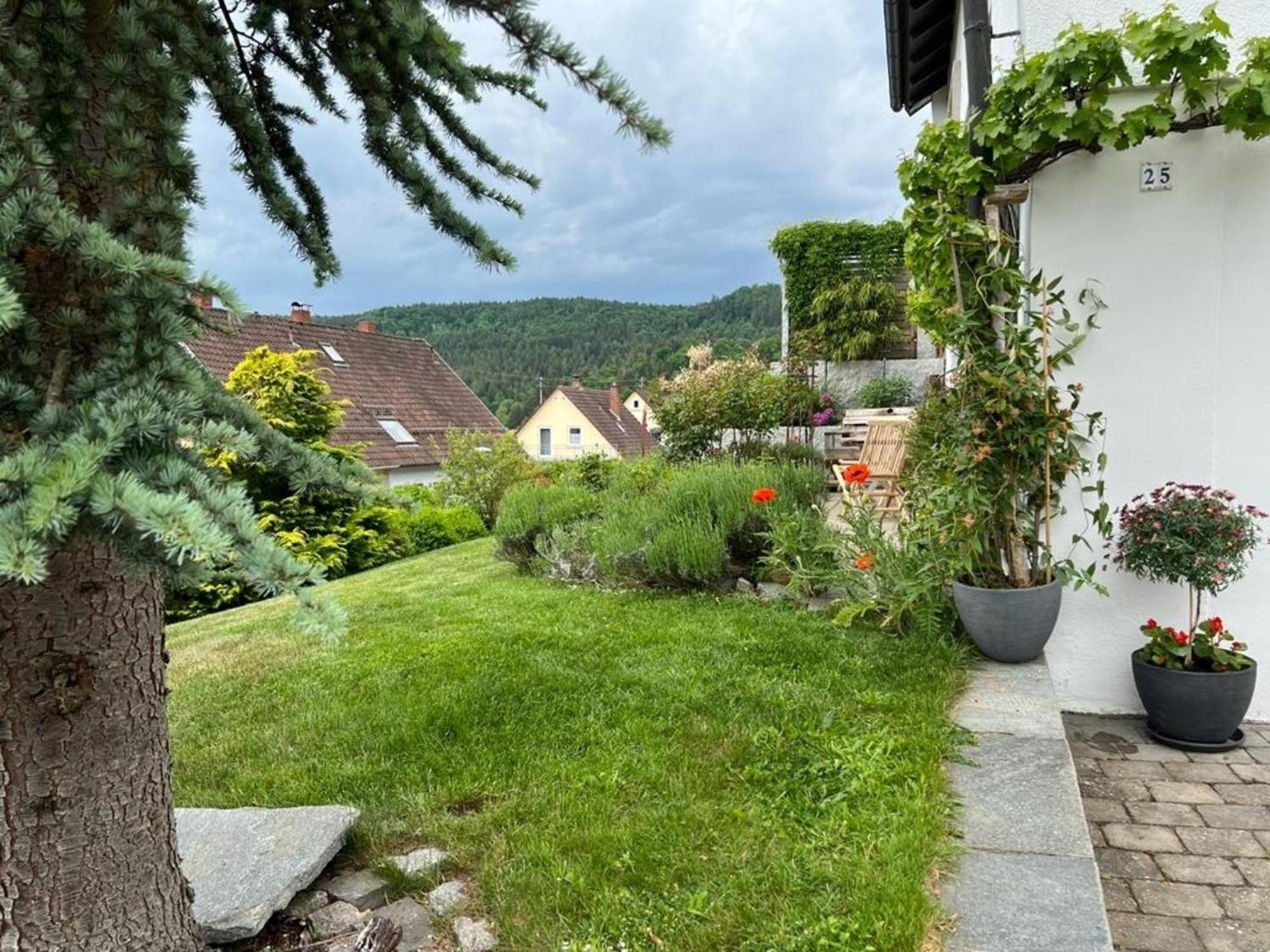 Ferienwohnung Jardin De Lavande Fridingen an der Donau Bagian luar foto