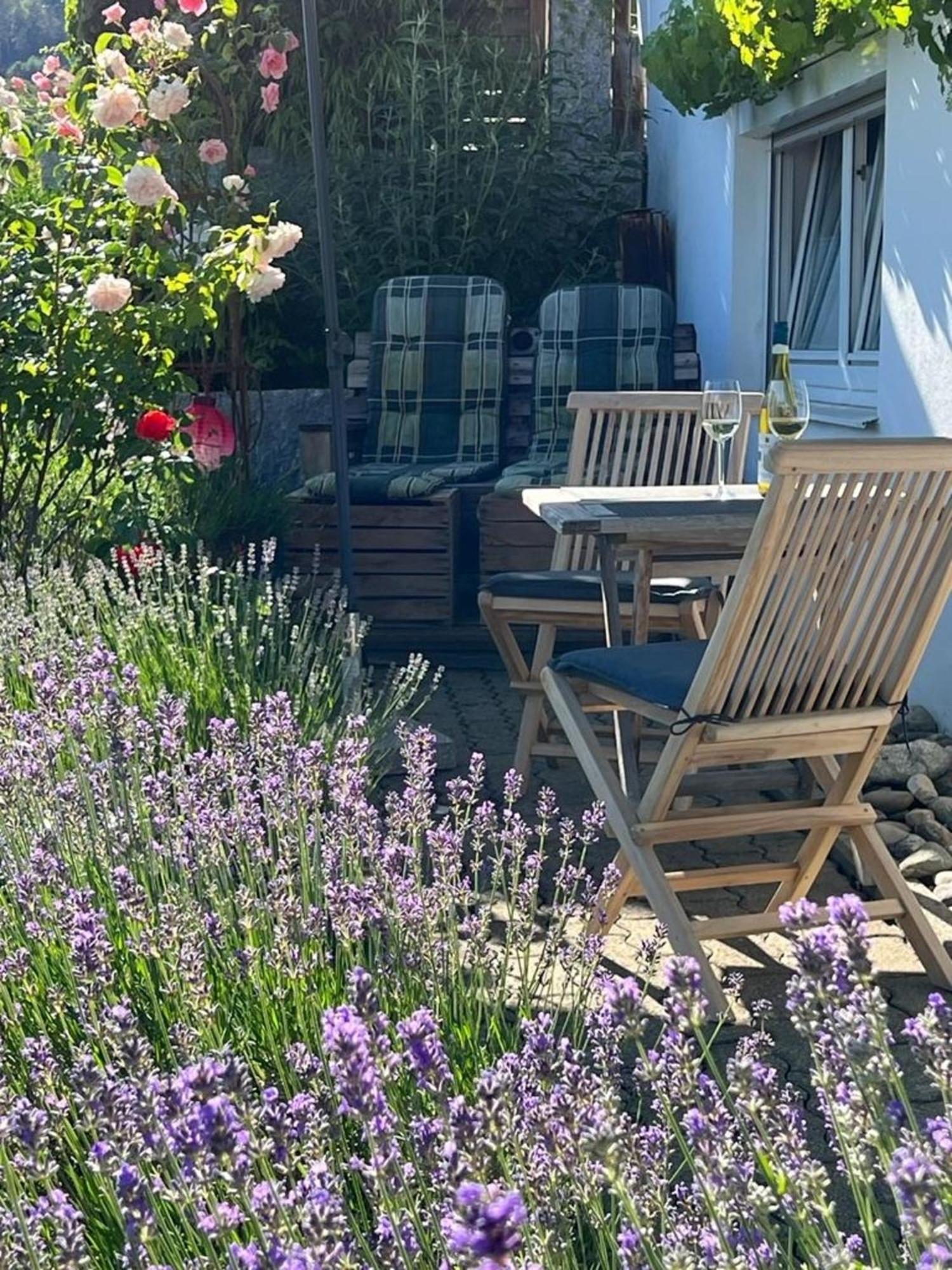 Ferienwohnung Jardin De Lavande Fridingen an der Donau Bagian luar foto